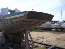 IMGP0688.JPG