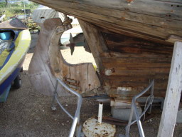 IMGP0692.JPG