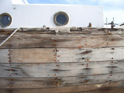 IMGP0693.JPG