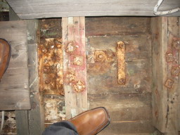 IMGP0697.JPG