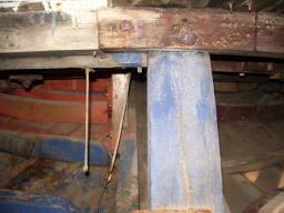 IMGP0700.JPG
