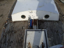 IMGP0711.JPG