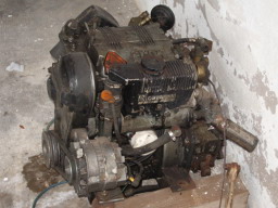IMGP0715.JPG