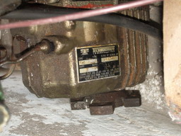 IMGP0717.JPG