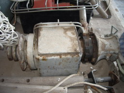 IMGP0718.JPG