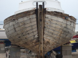 IMGP0776.JPG