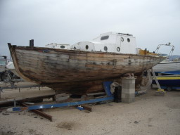 IMGP0779.JPG