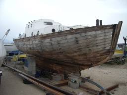 IMGP0780.JPG