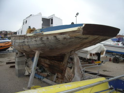 IMGP0781.JPG