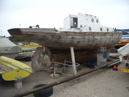IMGP0784.JPG