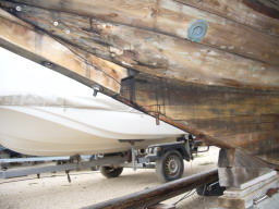 IMGP0792.JPG