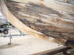 IMGP0793.JPG