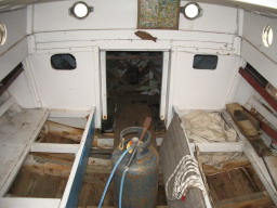 IMGP0802.JPG