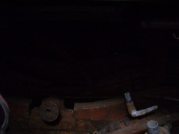 IMGP0809.JPG