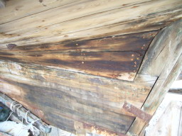 IMGP0810.JPG