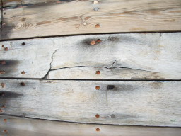 IMGP0811.JPG
