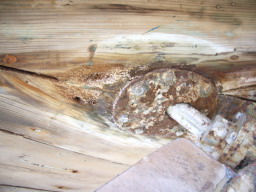 IMGP0828.JPG