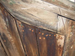 IMGP0829.JPG