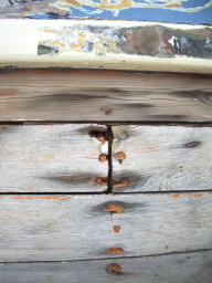 IMGP0830.JPG