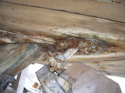 IMGP0831.JPG