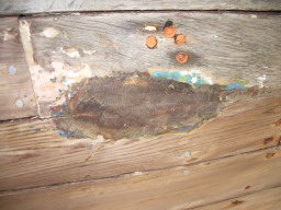 IMGP0834.JPG
